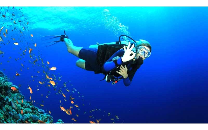 9 Nights 10 Days Andaman And Nicorbar Tour