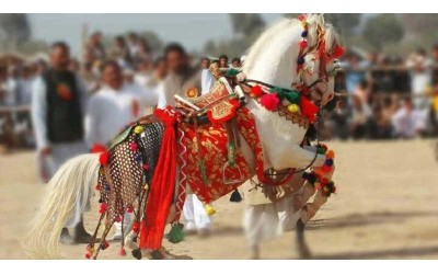 16 Nights 17 Days Rajasthan Tour