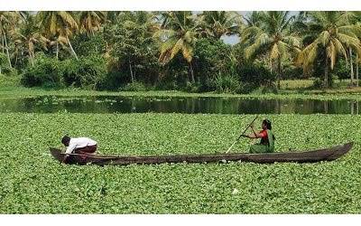 14 Nights 15 Days Kerala Tour