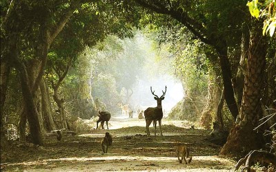 3 Days Taj Mahal Tour with Keoladeo National Park Bharatpur