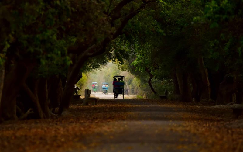 3 Days Taj Mahal Tour with Keoladeo National Park Bharatpur