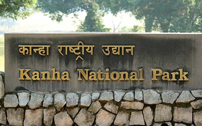 Private 2 Days Kanha National Park Wildlife Tiger Safari Tour