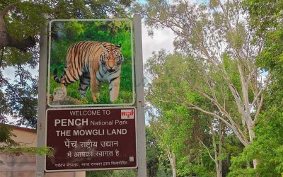 2 Days Taj Mahal Tour with Pench National Park