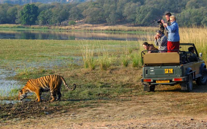 8 Days Golden Triangle Tour with Ranthambore Tiger Safari